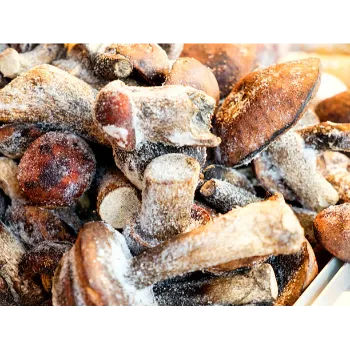 Frozen Mushrum (11)-2561581-12380.webp